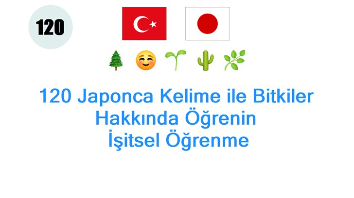 120 Japonca Kelime ile Bitkiler Hakkında Öğrenin: İşitsel Öğrenme